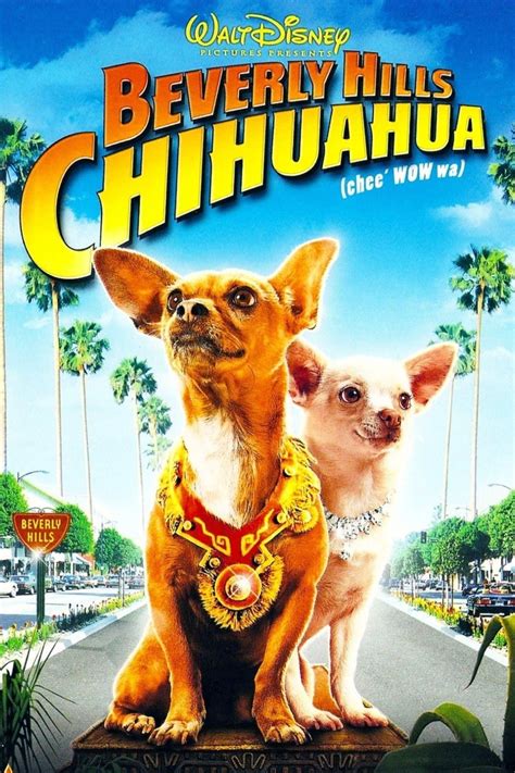 Beverly Hills Chihuahua (2008) .